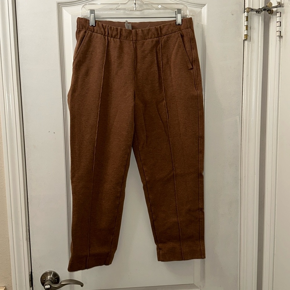 Everlane the Dream Pant Heathered Auburn Color